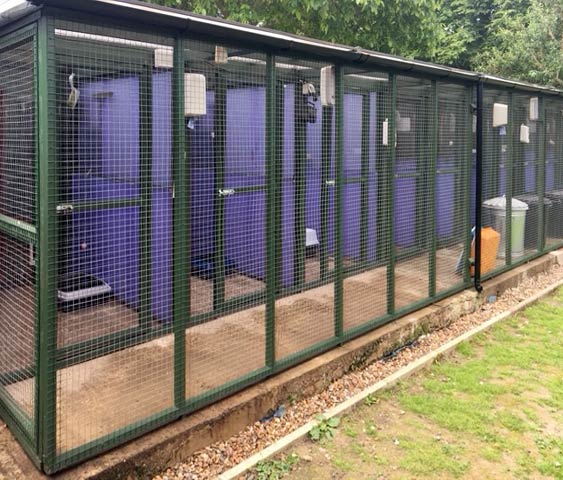 Cat boarding chalets