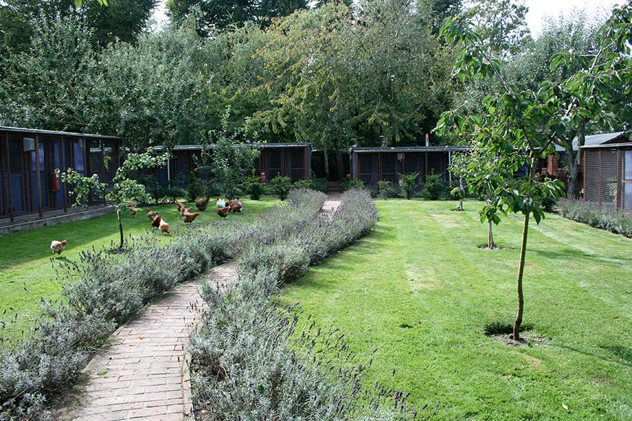 Farm Cottage Cattery Gardens General view of cattery grounds