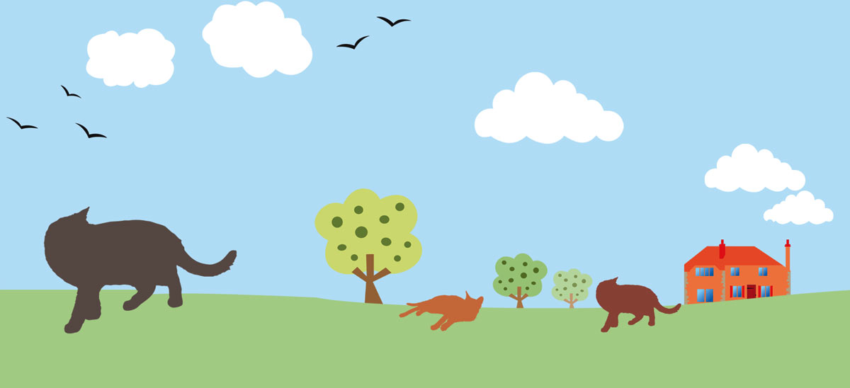 Garden setting that cats enjoy