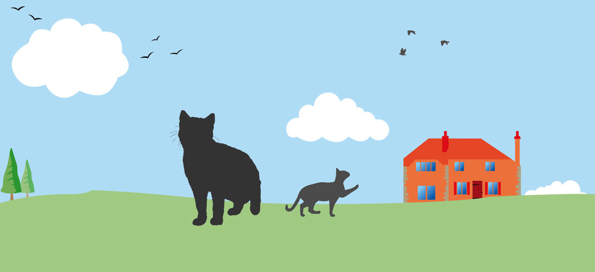 Home from home cattery